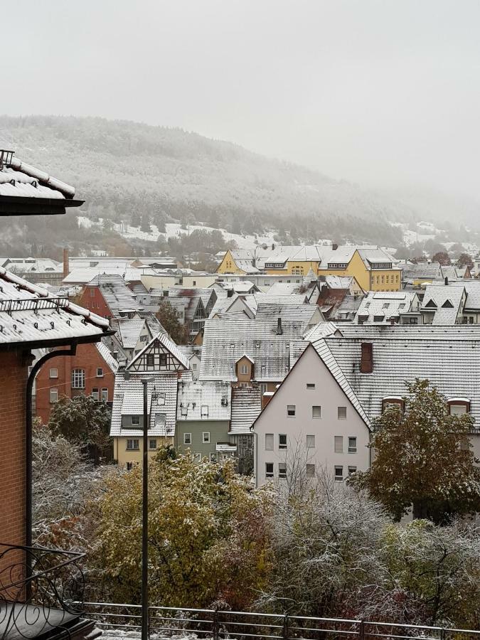 Ferienwohnungen Albstadt Exterior foto